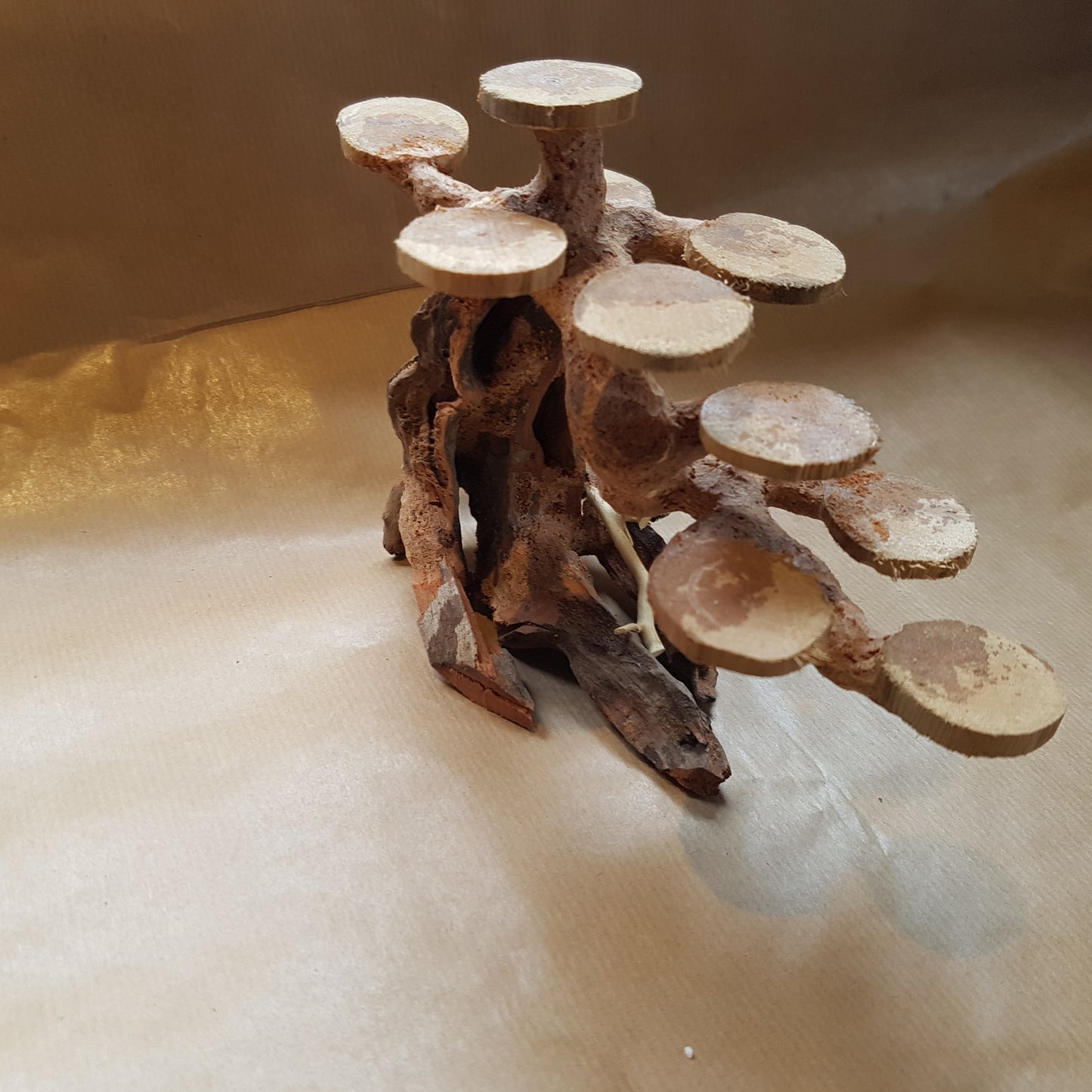 Aquarium wood/resin bonsai tree decoration with planting plates