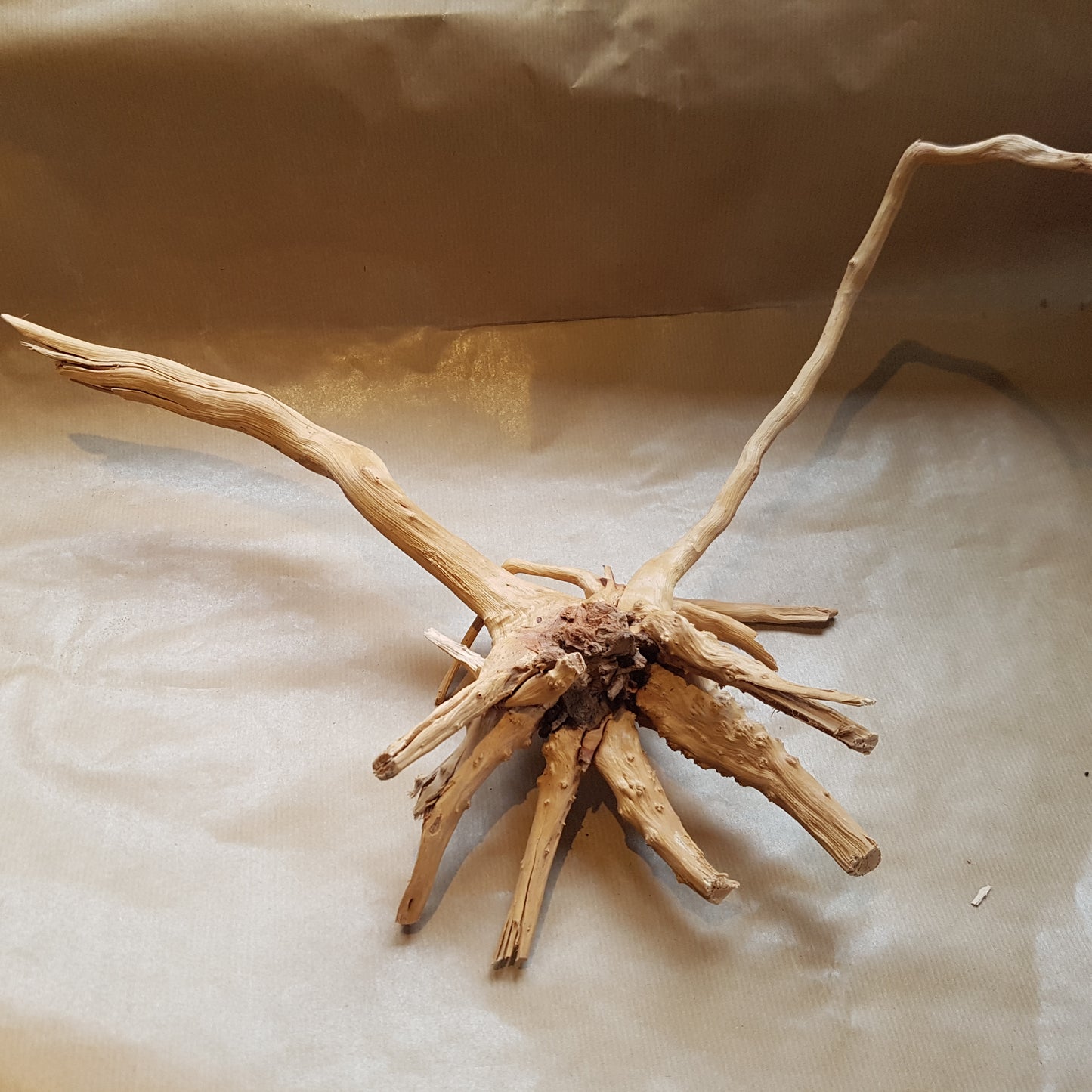 Aquarium Wood Root - Small piece