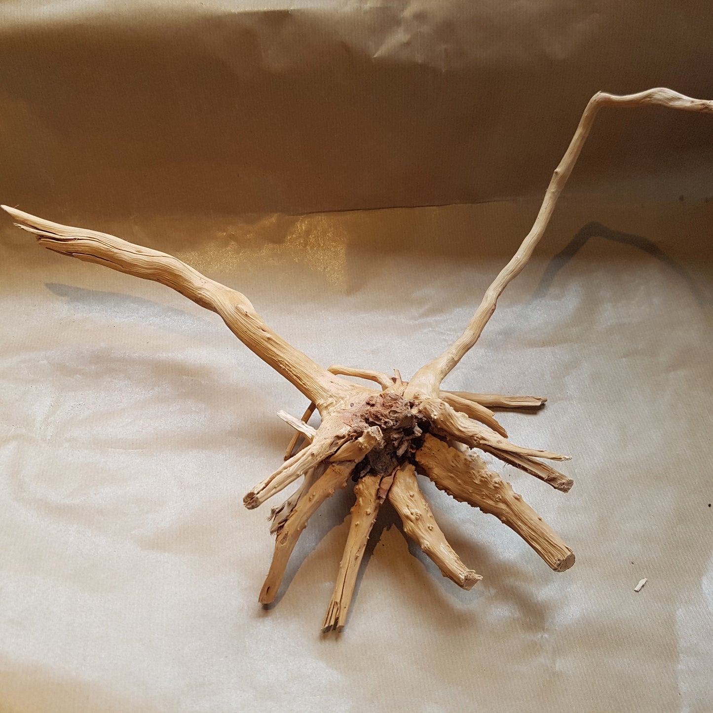 Aquarium Wood Root - Large piece