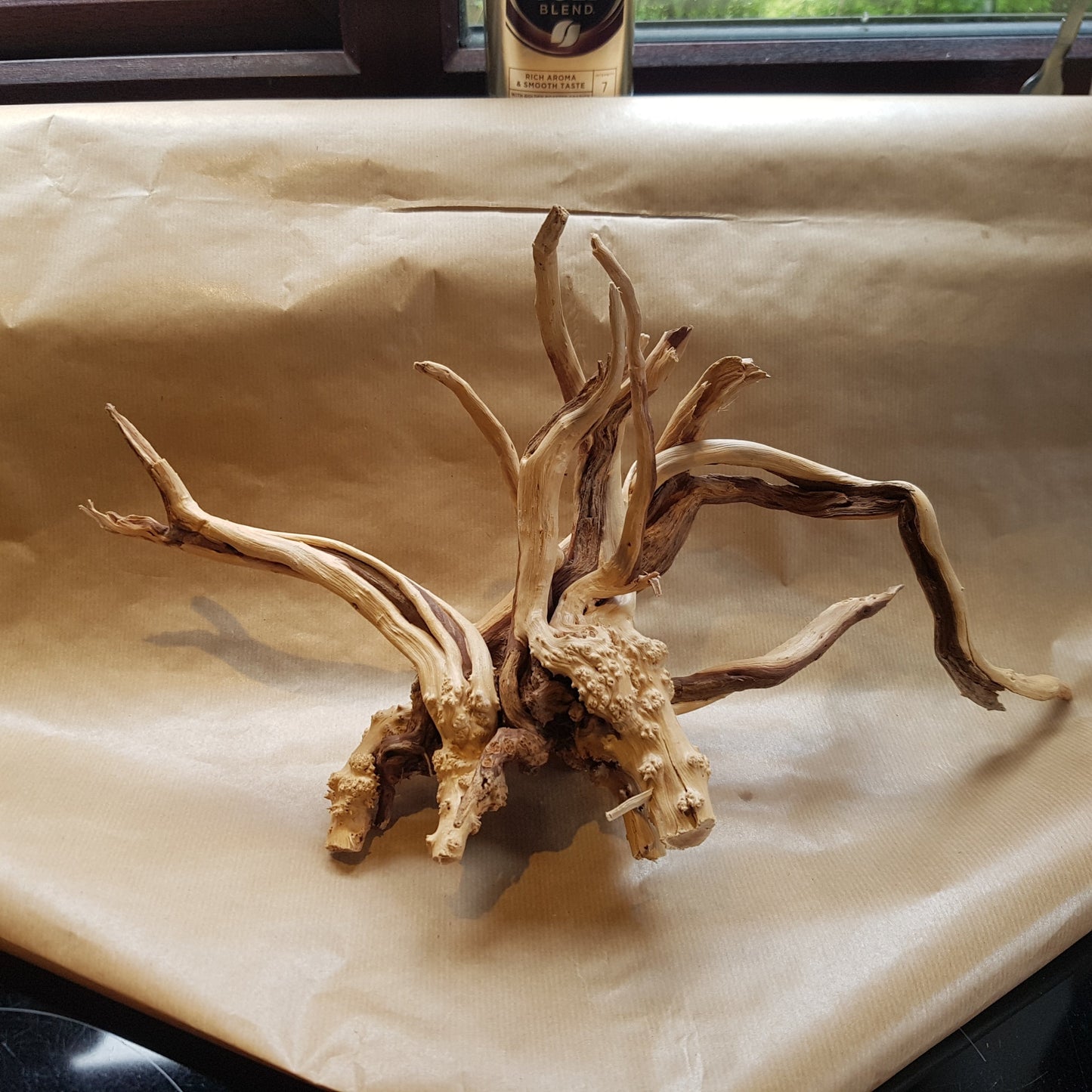 Aquarium Wood Root - Large piece