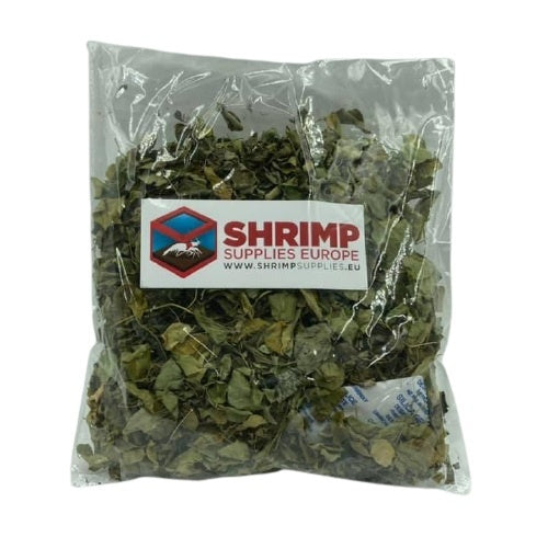Moringa Leaves - 25 gram bag