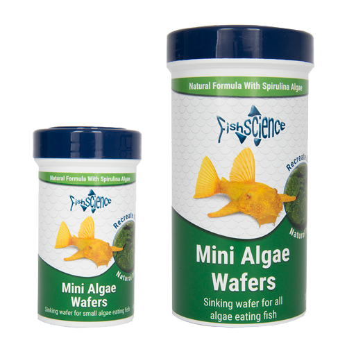 Fish Science Mini Algae wafers  - 45g & 110g